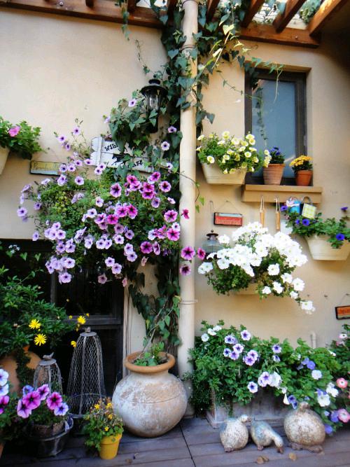 c7c7娱乐平台官网入口(中国集团)官方网站